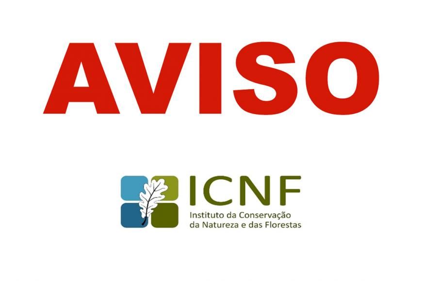 OBRIGATORIEDADE DE CORTE DE CON&Iacute;FERAS (&ldquo;PINHEIROS e outras resinosas&rdquo;)